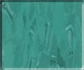 Ʋܽذ