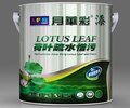 月华彩荷叶疏水憎污内墙乳胶漆